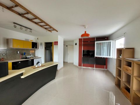 photo no. 3