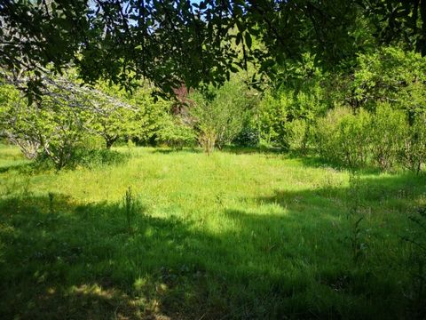 photo no. 12