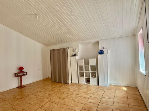 photo no. 10