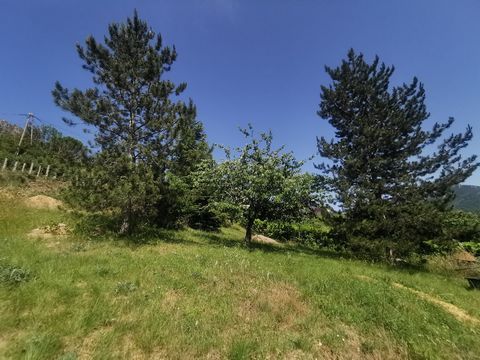 photo no. 5