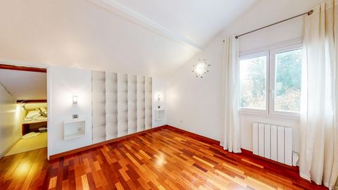 photo no. 12