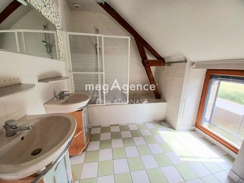 photo no. 10
