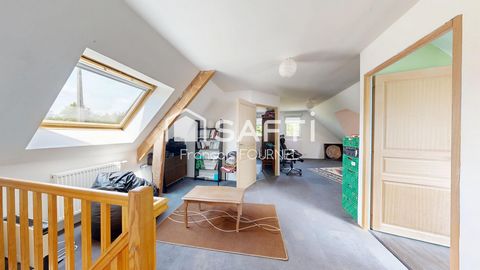 photo no. 14