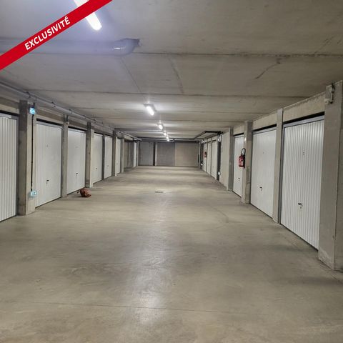 photo no. 5