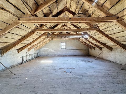 photo no. 6