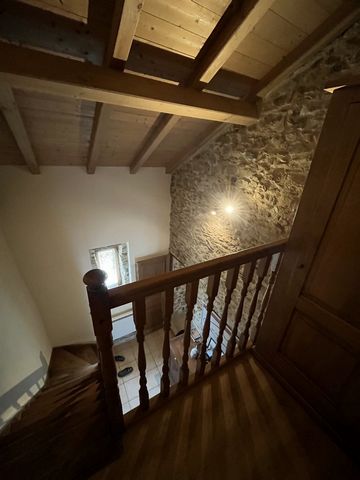 photo no. 9