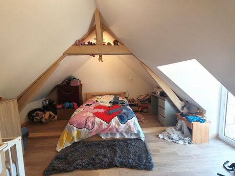 photo no. 8