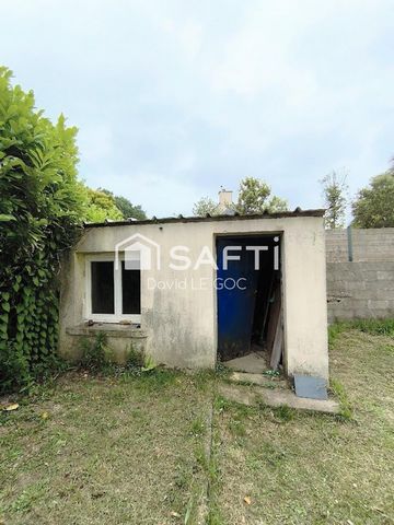 photo no. 13