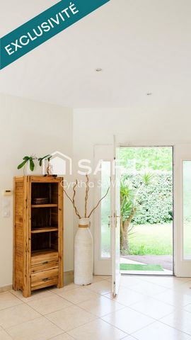 photo no. 11