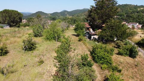 photo no. 12