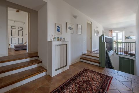 photo no. 12