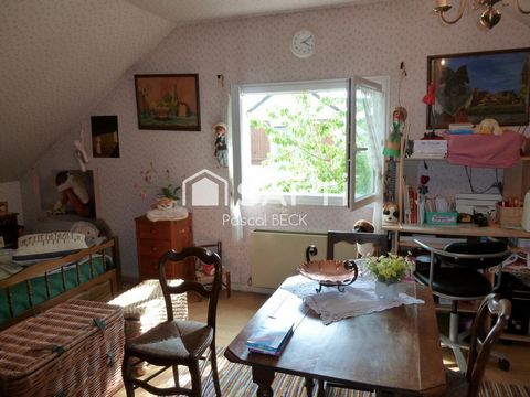 photo no. 18