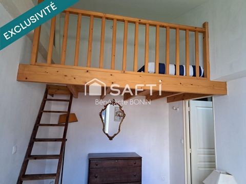 photo no. 6