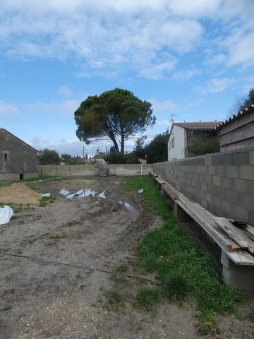 photo no. 2