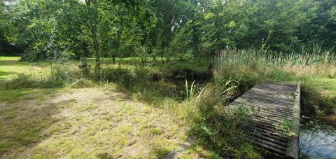 photo no. 14