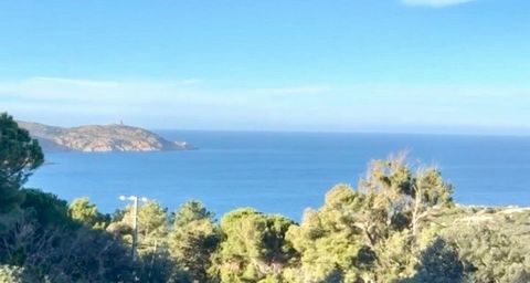 Calvi, vue mer, grand standing, Revellata, jardin ou grande terrasse