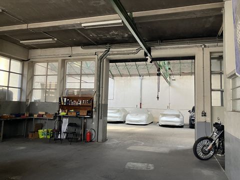 photo no. 9