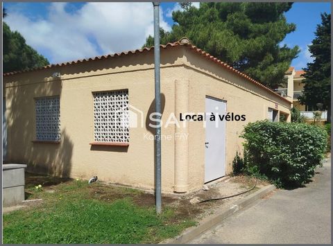 photo no. 8
