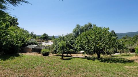 photo no. 1