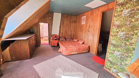 photo no. 15