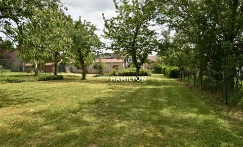 photo no. 10
