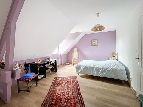photo no. 11