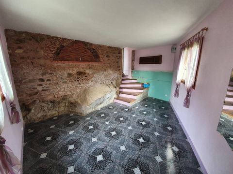 photo no. 1