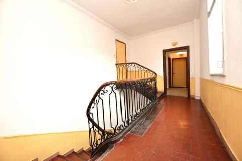 photo no. 12