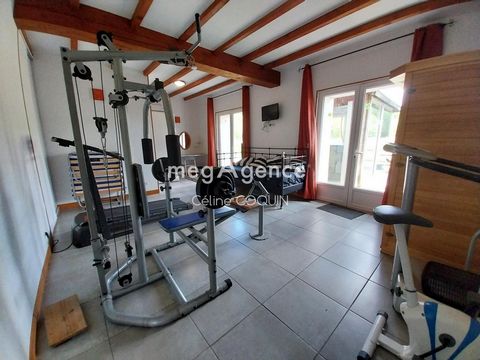 photo no. 10