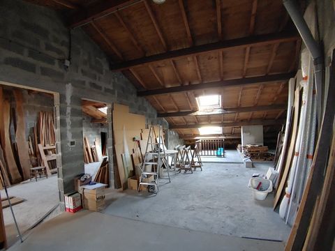 photo no. 31