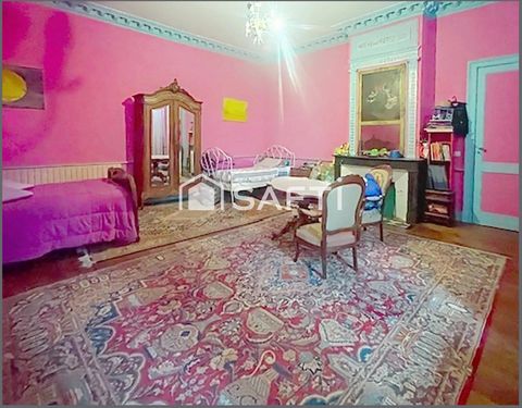 photo no. 12