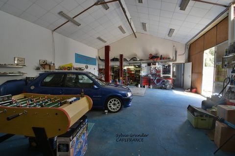 photo no. 1