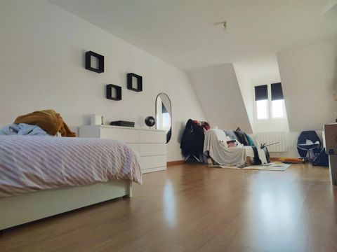 photo no. 2