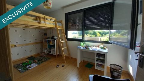 photo no. 12