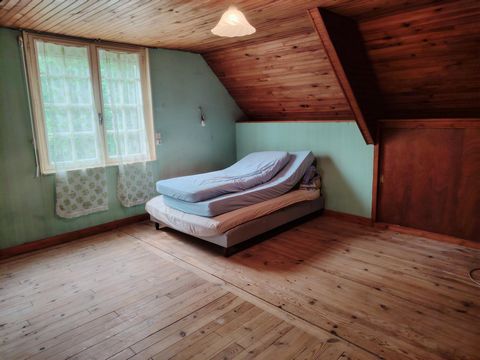 photo no. 10