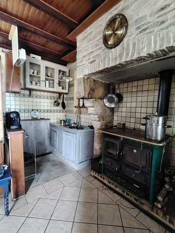 photo no. 9