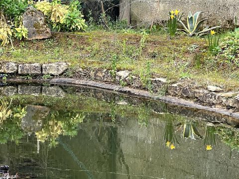 photo no. 8