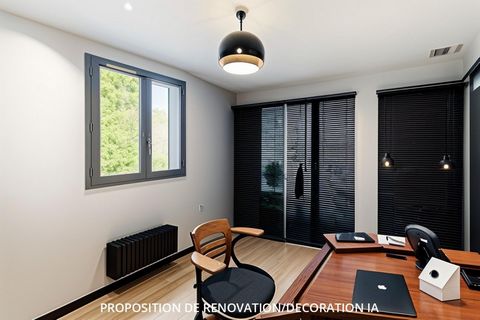 photo no. 11