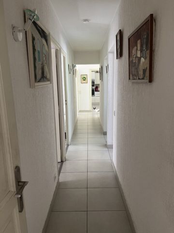 photo no. 8