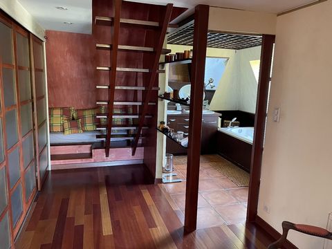 photo no. 14