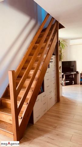 photo no. 11