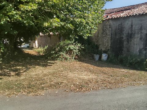 photo no. 2