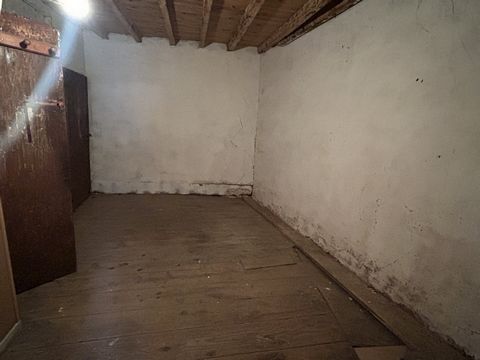photo no. 6