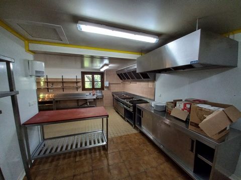 photo no. 6