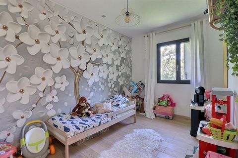 photo no. 11