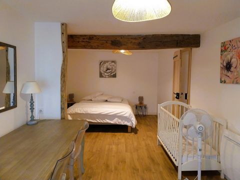 photo no. 13
