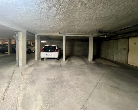 photo no. 8