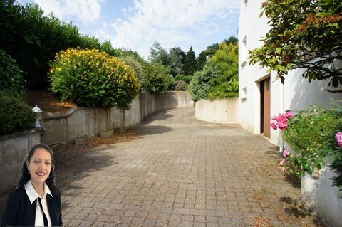 photo no. 17