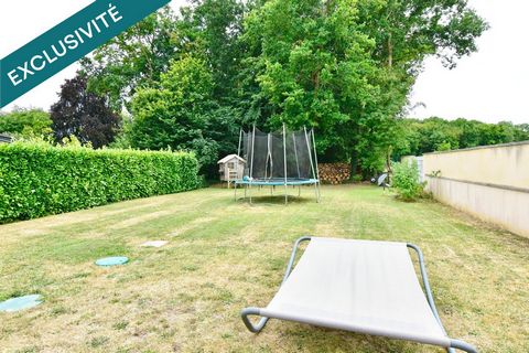 photo no. 12