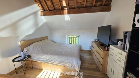 photo no. 8